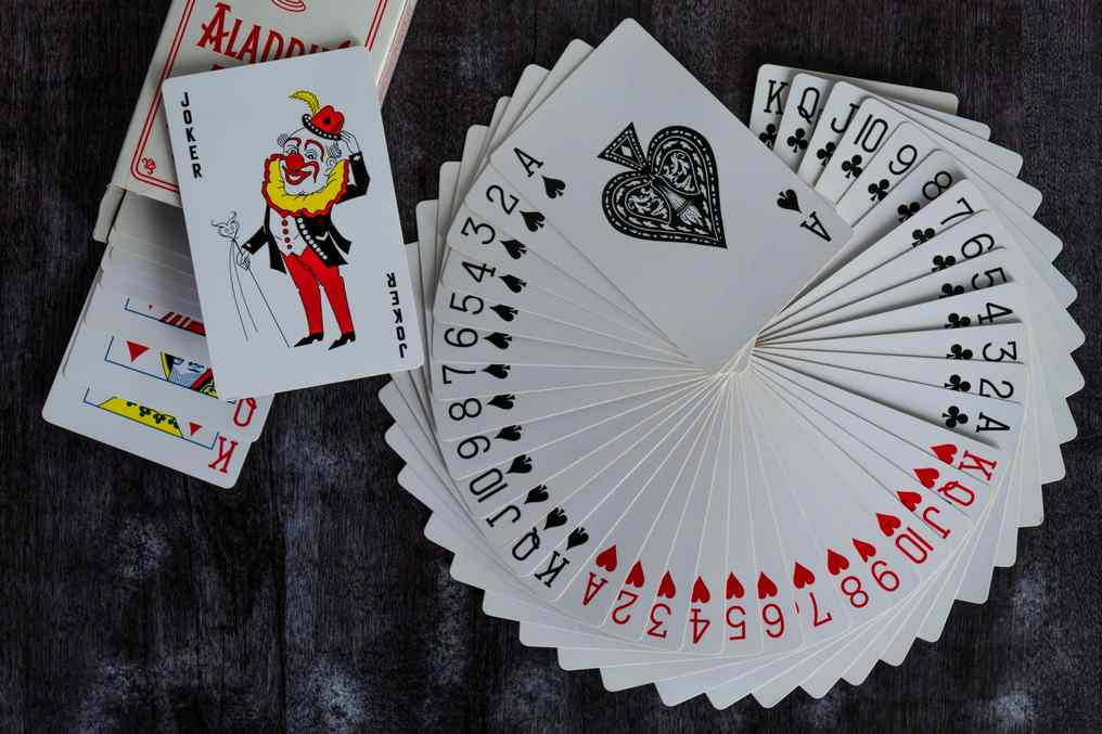 libra spins casino